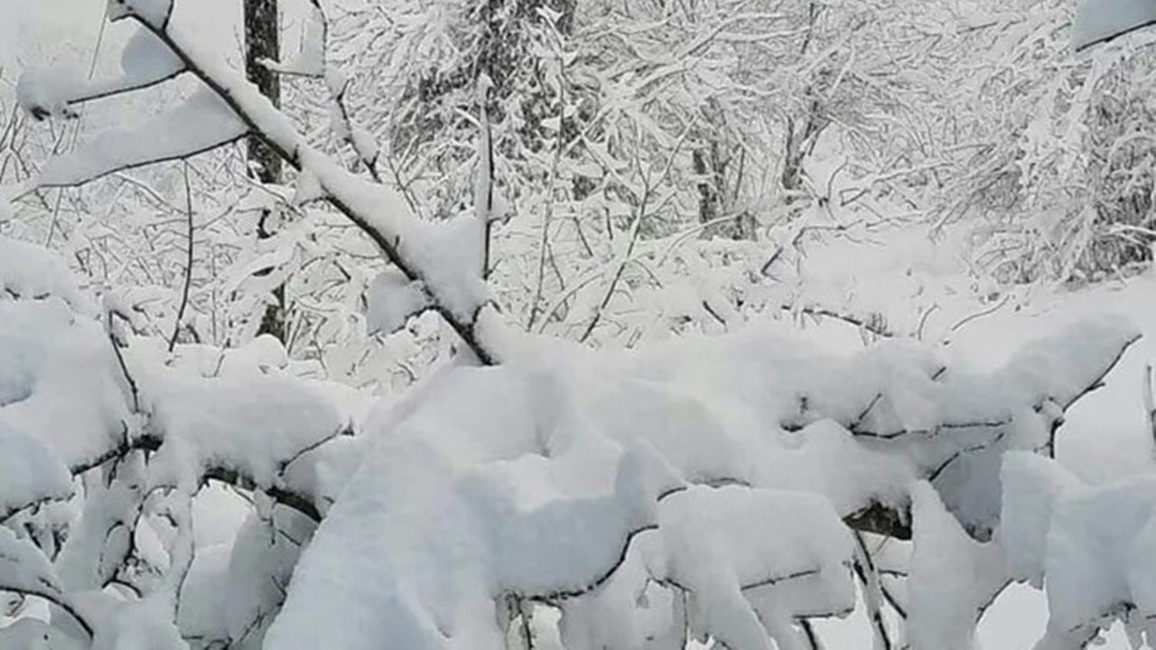 22 Aralık yarın Karadeniz Ereğli okullar tatil mi? Zonguldak Valiliği son dakika kar tatili açıklaması