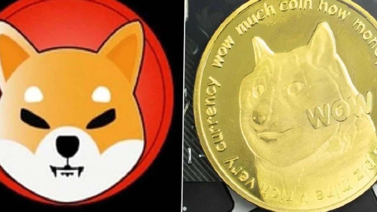 Dogecoin ve Shiba Inu yeni rekor 1 TL olur mu? Shiba coin haberleri son dakika! Shiba coin yükselir mi?