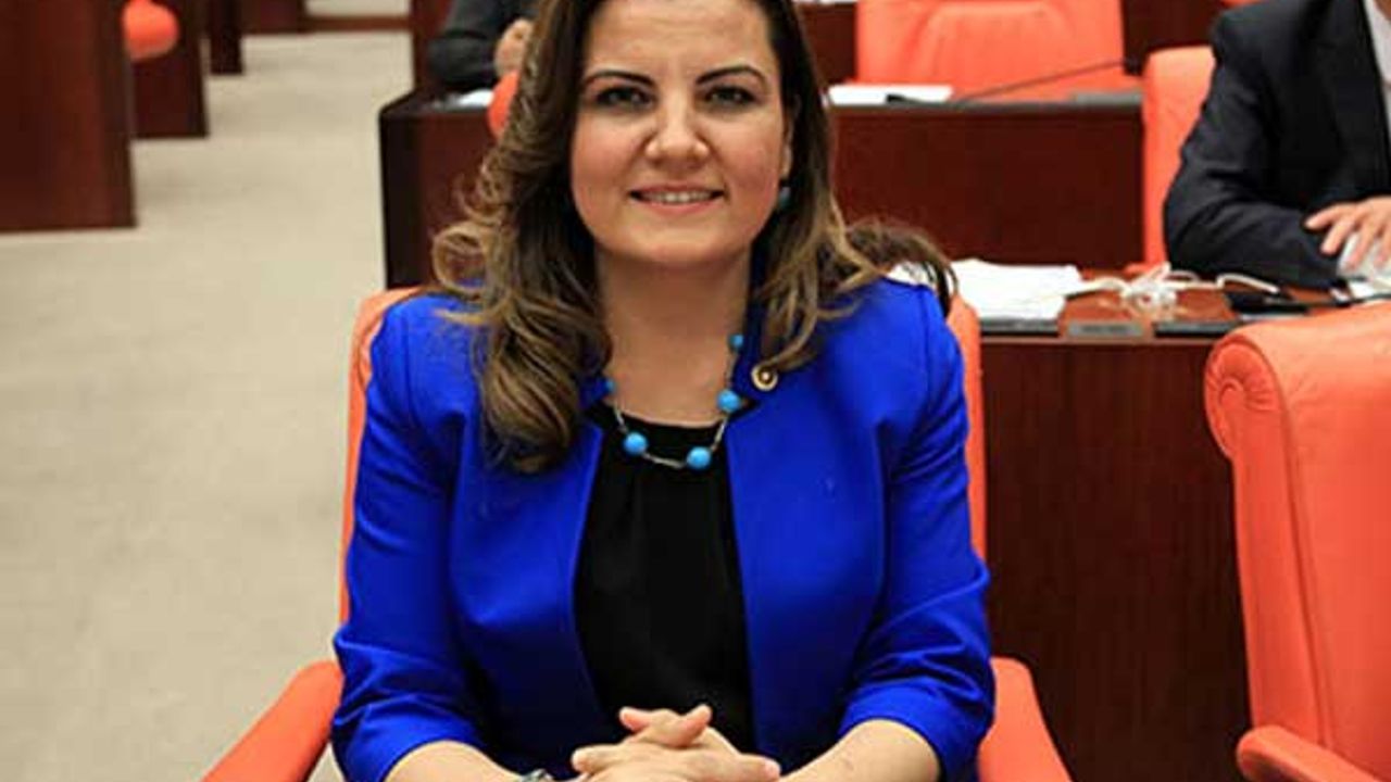 Fatma Kaplan Hürriyet "Üç Erkek AKP'li Vekil Kabinde Ne Yapıyordunuz" Ne Zaman Kime Dedi? Kabindeki Üç Vekil Kimdi?