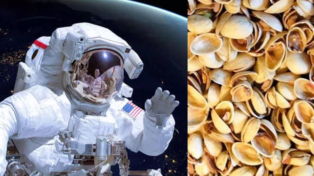 Uzayda Bulunan Fıstık Kabukları Olay Oldu! NASA Şaşkın "Yiyip Yiyip İzlemişler"