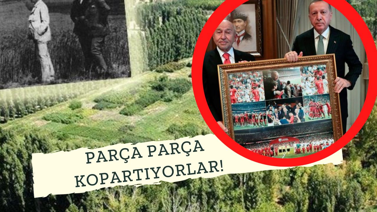 Atatürk Orman Çiftliği Talanı Tam Gaz! 14 Kez Yapılan İtiraz Bile Dikkate Alınmadı!