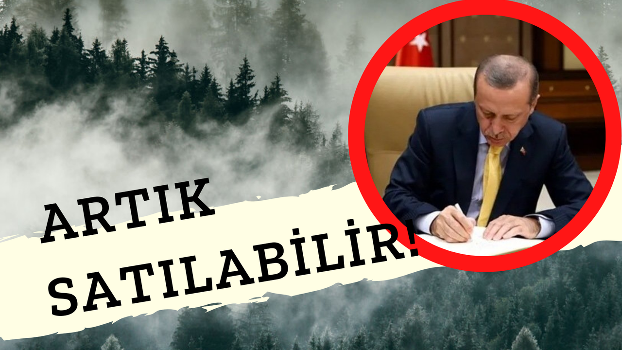 Bazı Ormanlar Artık "Orman" Değil! Erdoğan İmzaladı! Orman Sınırları Değişti!