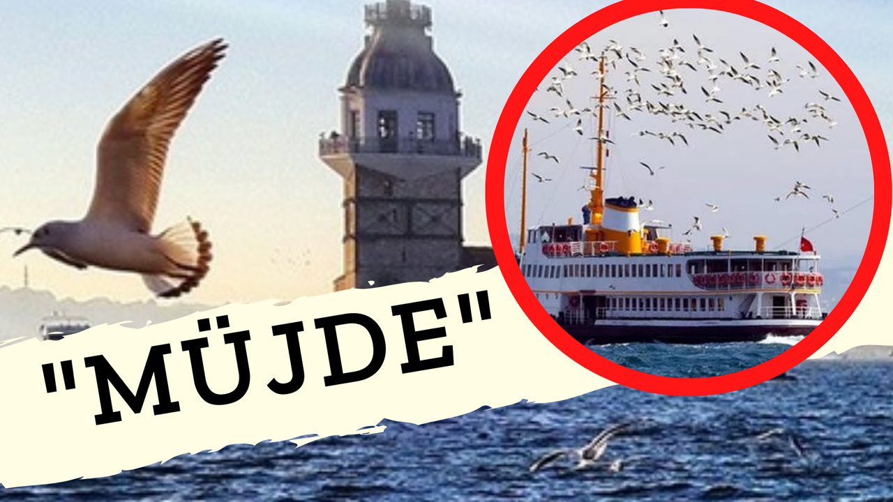 İşte Bu Müjde! İstanbul'da 7 Lokasyona Daha Vapur Seferi Geldi! Deniz Yoluna Konulan Yeni Hatlar Hangileri?