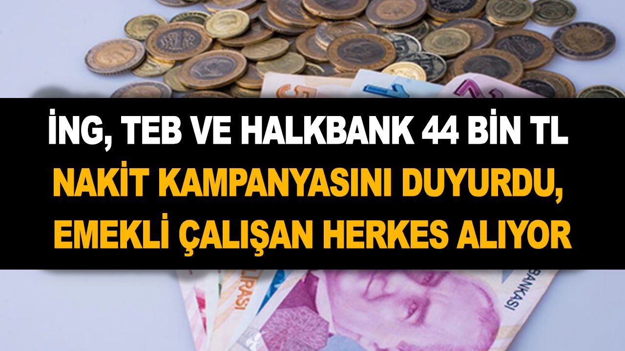 İNG, TEB ve Halkbank 44 bin TL nakit kampanyasını duyurdu, emekli çalışan herkes kullanabilir