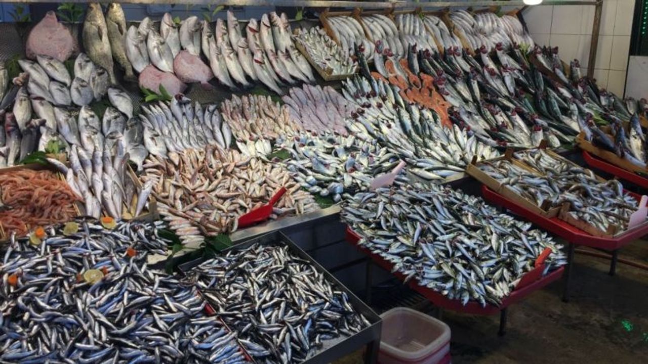 Denizden Gelen Bereket Yüzleri Güldürdü! Balık Fiyatları Düşüyor…