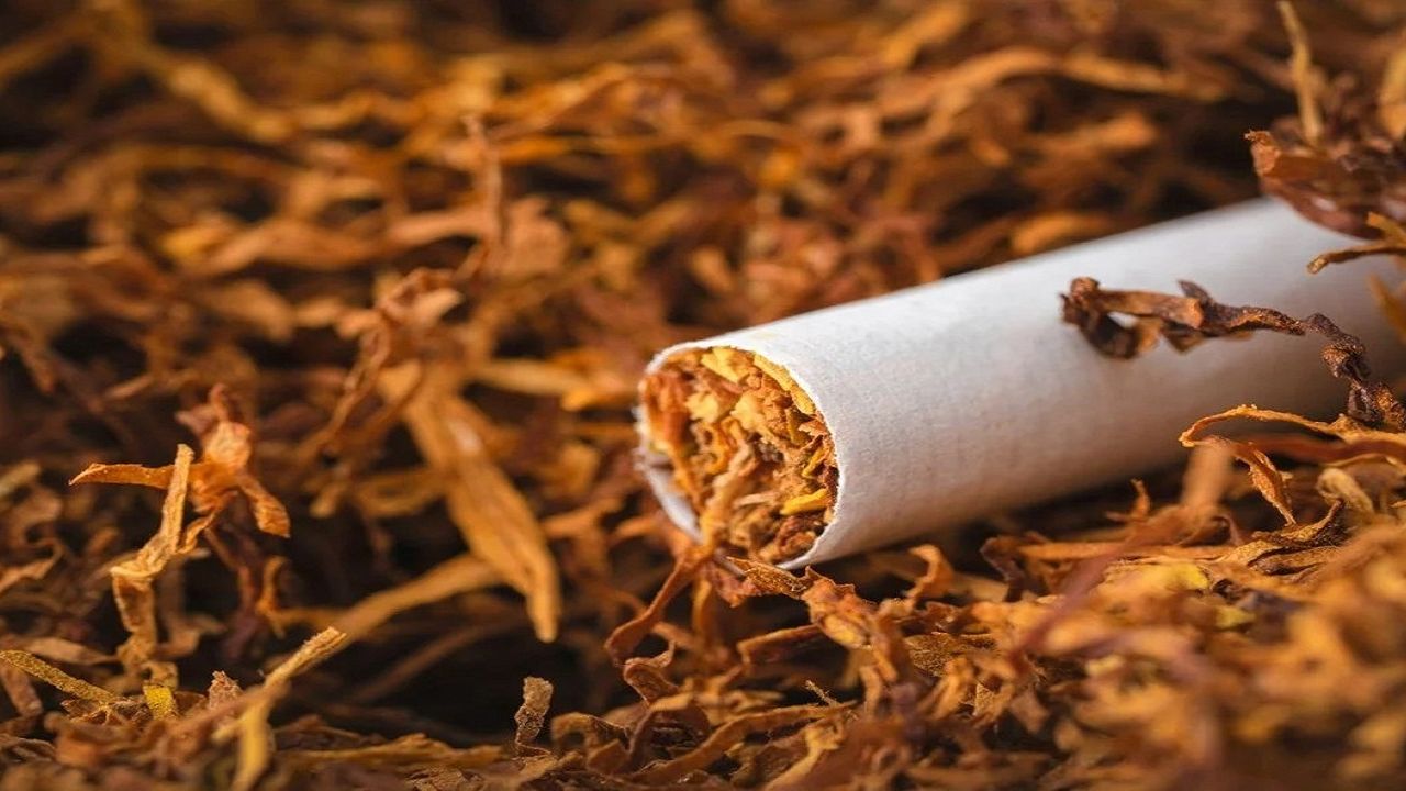 Sigarada ÖTV Zammı Yerine İndirim Kararı! Tütün Üreticilerine Sevindiren Haber Geldi!