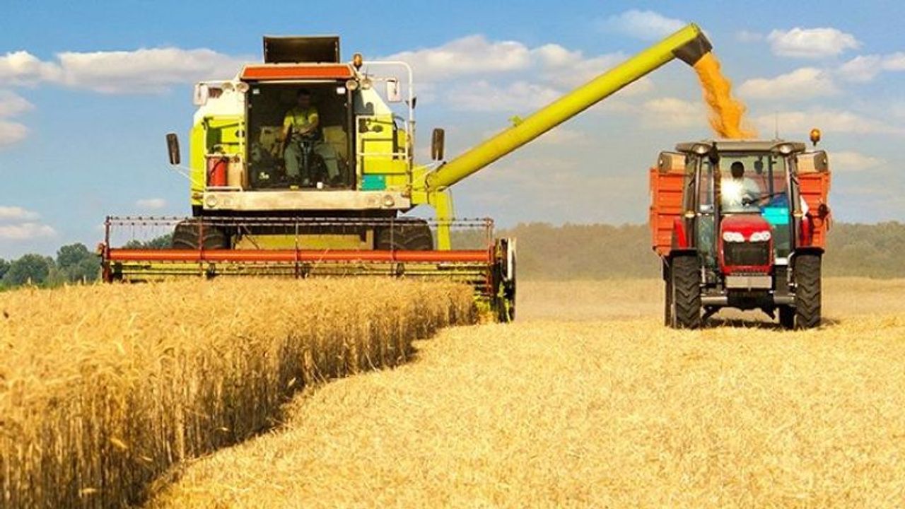 Bloomberg Raporu: Buğday Üretimi İçin Kıtlık Tehlikesi