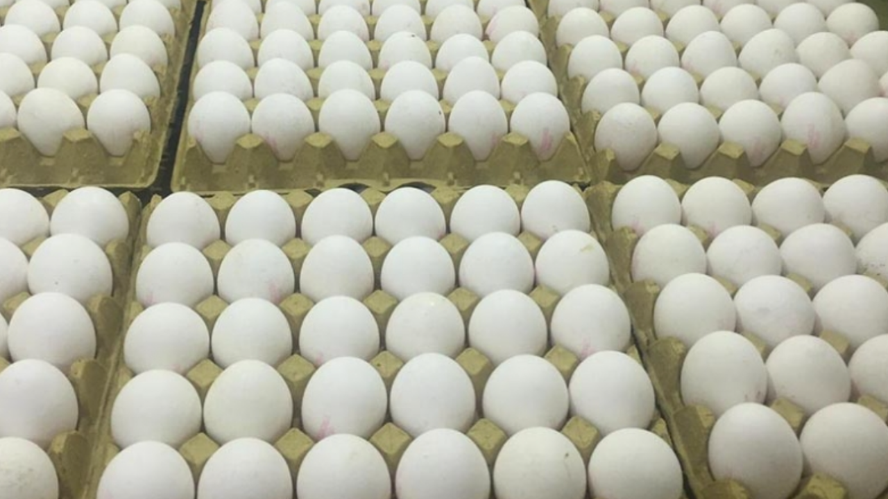 Tarım Kredi Market Yumurta Fiyatlarını Düşürdü! 30'lu Yumurta Sudan Ucuza Satılıyor!