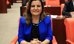 Fatma Kaplan Hürriyet "Üç Erkek AKP'li Vekil Kabinde Ne Yapıyordunuz" Ne Zaman Kime Dedi? Kabindeki Üç Vekil Kimdi?