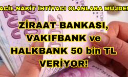 Acil Nakit İhtiyacı Olanlara Müjde! Ziraat Bankası, Vakıfbank ve Halkbank Başvuran Sigortalılara 50 bin TL Veriyor