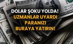 Dolar Şoku Yolda! Uzmanlar Uyardı: Paranızı Buraya Yatırın!