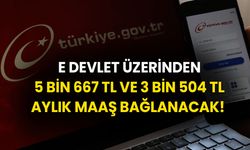 E-devlete bakan kazanır, elması kızarır! 5.bin 667 TL ve 3 bin 504 TL aylık maaş bağlanacak!