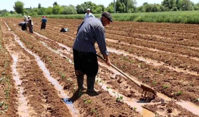 Tarımsal Destek Ödemeleri Hesaplara Yattı mı? Bakan Vahit Kirişçi'den Çiftçi Ödeme Tarihileri!