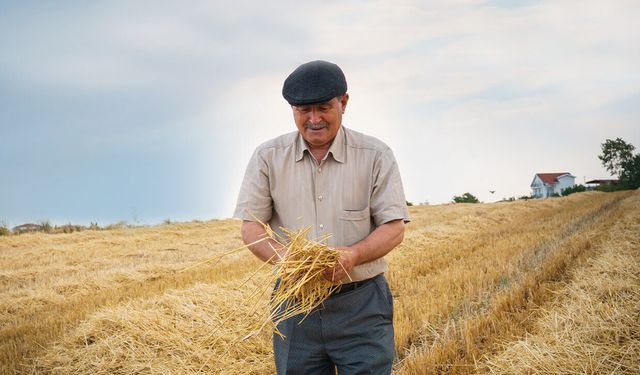 Çiftçiler Şubat Ayında Ne Zaman Destek Ödemesi Alacak? Tarım ve Orman Bakanlığı'ndan Açıklama Geldi!