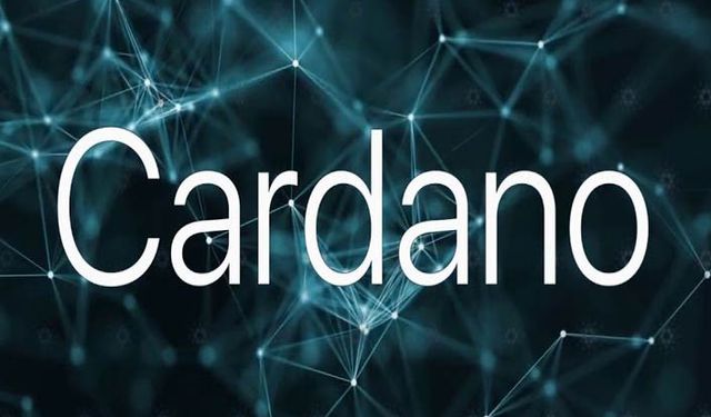 Mike Novogratz Ada Coin ile ilgili ipuçları! Cardano nereye doğru gidecek