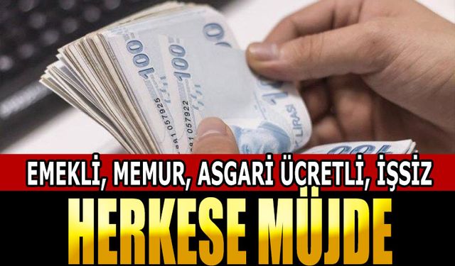 Emekli, Memur, Asgari Ücretli ve İşsizlere güzel haber! Kredi ve Kredi borcu yapılandırma ve sicil affı geliyor!