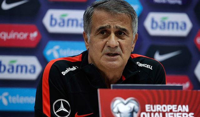 Şenol Güneş'ten Norveç maçı öncesi açıklamalar!