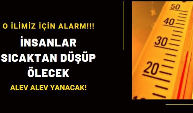 DİKKAT! O ilimiz için infial yaratacak uyarı: Yanıp kavrulacağız, insanlar sıcaktan düşüp ölecek!