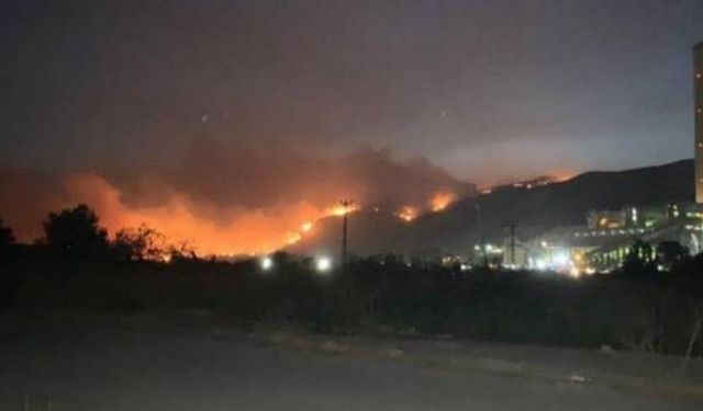 Termik Santral Yanarsa Ne Olur? Yangın Milas'ta Termik Santrale Ulaştı!