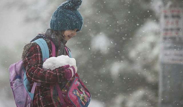 22 Mart Salı Düzce, Rize, Ordu, Sinop, Bolu Valiliği okullar tatil mi? Bugün-yarın kar tatili olan iller hangileri?