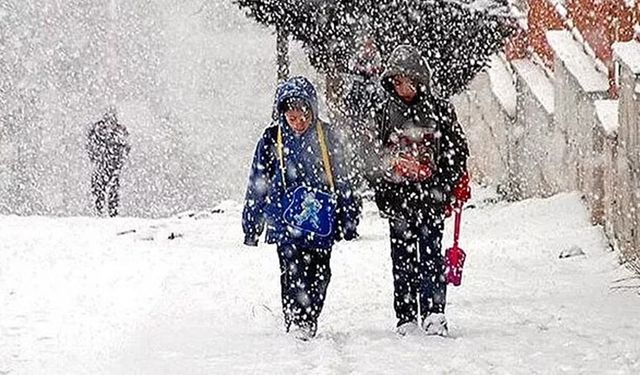 25 Mart 2022 Cuma Erzurum, Kars, Gümüşhane, Muş’ta yarın okullar tatil mi? Valilik son dakika kar tatili açıklaması