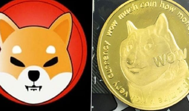 Dogecoin ve Shiba Inu yeni rekor 1 TL olur mu? Shiba coin haberleri son dakika! Shiba coin yükselir mi?