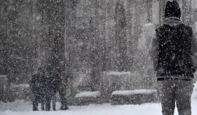 Meteoroloji son dakika duyurdu: Kara kış resmen küllerinden doğuyor! Böyle giderse bahar hiç gelmeyecek