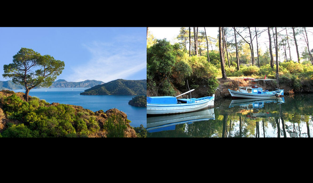 Bördübet Nerede? Bu Cennet Cehennem Oldu! Marmaris-Bördübet Yangını Tesadüf mü? "İki Elimiz Yakanızda" Denildi!