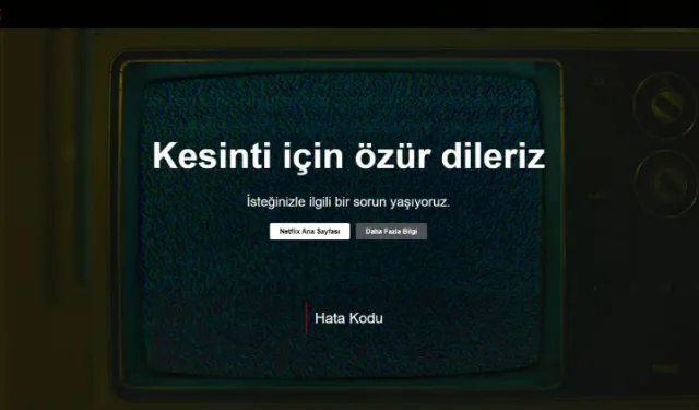 Neler Oluyor? Twitter Ve Instagram Sonrası Netflix de Tüm Dünyada Çöktü! Neden? Dikkat Çeken Detay Ne?