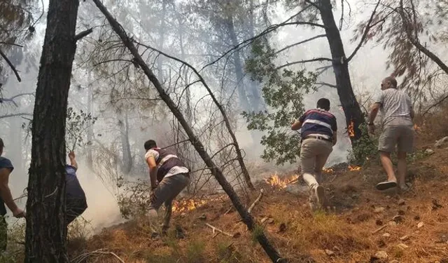 Cennet Koyu Haberi Sonrası Datça Orman Yangını İçin Masum Bir Başlık Bulamadık.... Alevler Kesilmedi Korku Büyüyor...