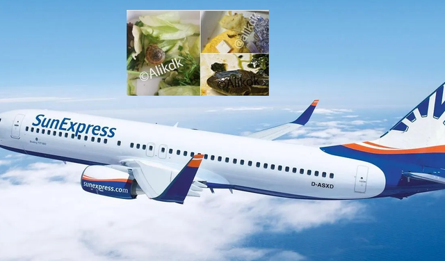 Uçak Yemeğinde Yılan Kafası, Salyangoz Rezaleti! SunExpress Skandalı Mide Bulandırdı! Ne Açıklama Geldi? Hangi Uçuşta?