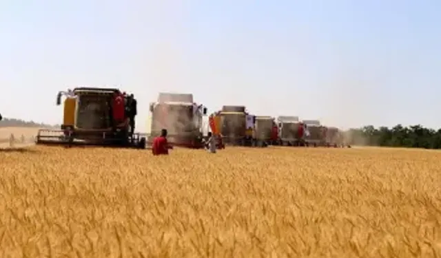 Türkiye'de "Buğday" Skandalı Derinleşiyor! Buğday Operasyonunda Yangınlar Sonrası Skandal Stokçulukla Akıllar Bulandı!