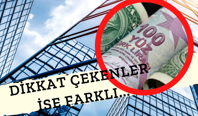 Türk Lirası 2024'e Kadar Değer Kaybedecek! Uzmanları Fitch Doğruladı!