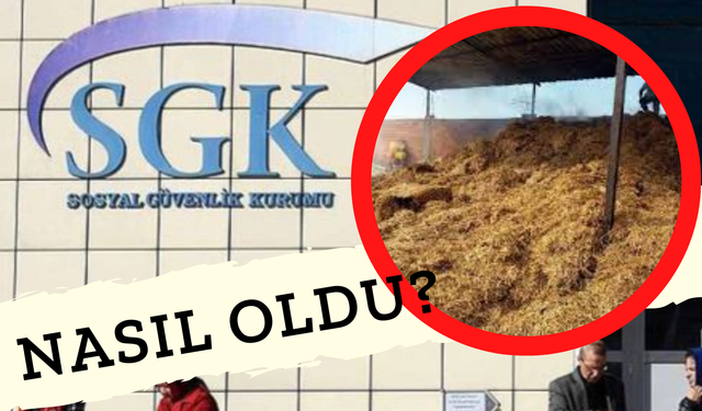 Sonunda Samanlık Bile Satılığa Çıktı! Ve Türkiye Bu Soruyu Sormaya Başladı: SGK'yı Kim Batırdı?