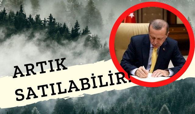 Bazı Ormanlar Artık "Orman" Değil! Erdoğan İmzaladı!  Orman Sınırları Değişti!