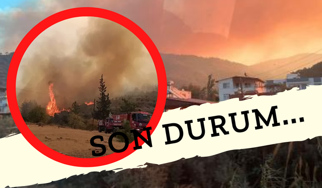 Mersin’de Orman Yangını Büyüyor! Son Durum Nedir? Akkuyu Nükleer Santraline Yaklaştı! Yangın Nerede?