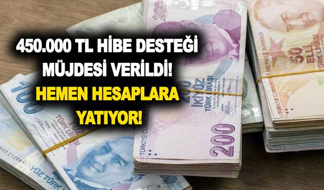 450.000 TL hibe desteği müjdesi verildi! Hemen hesaplara yatıyor! Almak için yapmanız gereken çok kolay