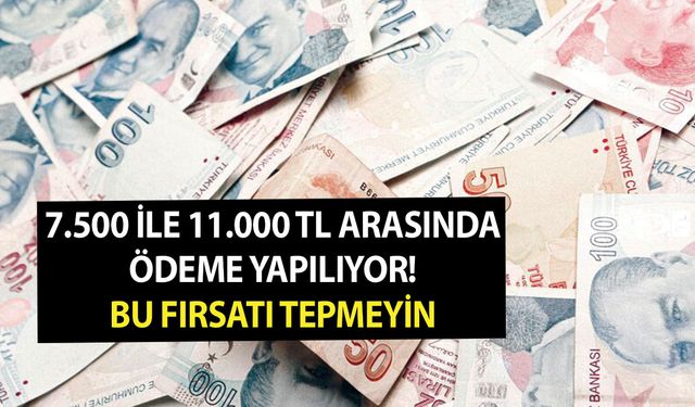 Anne adayları dikkat! 7.500 ile 11.000 TL arasında ödeme yapılıyor! Bu fırsatı tepmeyin!