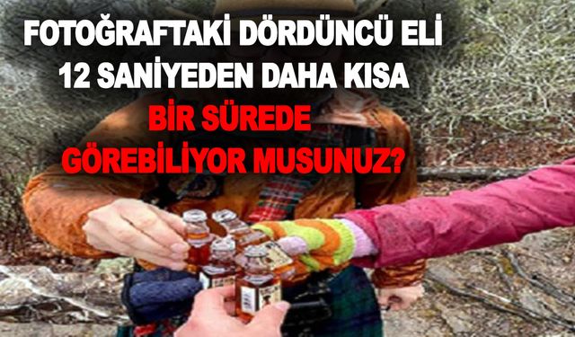 Fotoğraftaki 4.eli 12 saniyeden daha kısa bir sürede görebiliyor musunuz? Görenler dahi oluyor