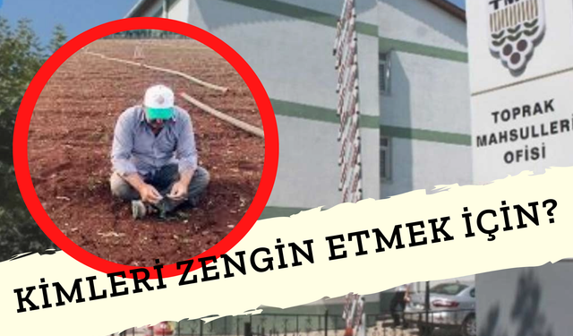 Çiftçiler Perişan Edilirken Toprak Mahsulleri Ofisi'nin 495 Bin Ton Arpa İthalat Kararını Akıl Almadı!