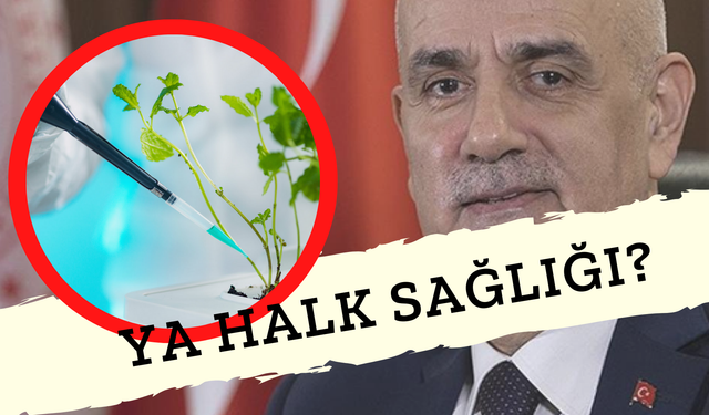 Bakanlık Kar İçin GDO İle Beslenmeye Yine Onay Verdi! Tüm İtirazlara ve Halkın Sağlığına Rağmen...