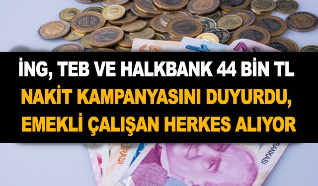 İNG, TEB ve Halkbank 44 bin TL nakit kampanyasını duyurdu, emekli çalışan herkes kullanabilir