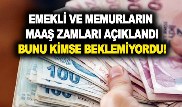 NETLEŞTİ! Emekli ve memurların 2023 Ocak ayı maaş zamları açıklandı! Kimse bunu beklemiyordu