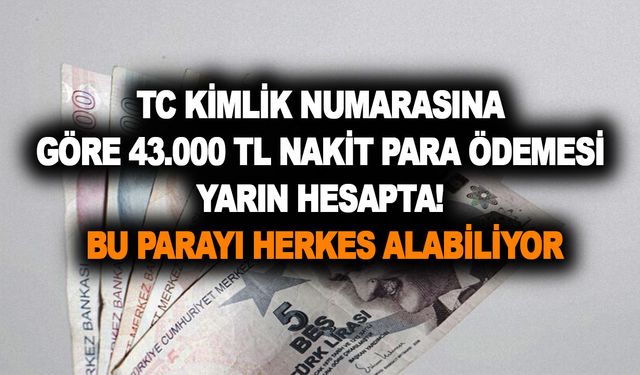 TC kimlik numarasına göre 43.000 TL nakit para ödemesi yarın hesapta!! Bu parayı herkes alabiliyor