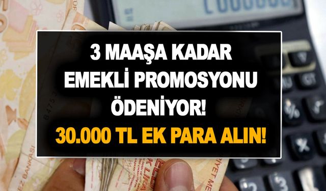 Az önce detayı geldi! 3 maaşa kadar emekli promosyonu ödeniyor! 30.000 TL ek para alın!