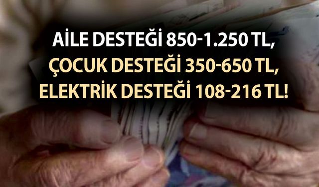 Aile desteği 850-1.250 TL, çocuk desteği 350-650 TL, elektrik desteği 108-216 TL! Kimler, nasıl alacak?