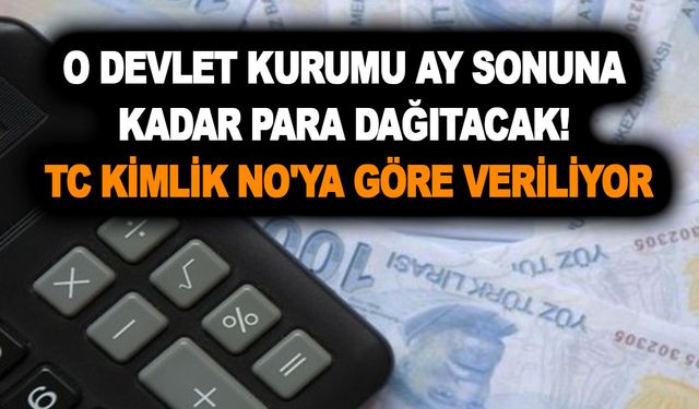 Aile ve Sosyal Hizmetler Bakanlığı ay sonuna kadar para dağıtacak! TC kimlik no'ya göre veriliyor