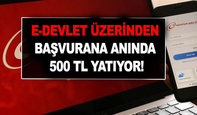 Ne duruyorsunuz, hemen başvurun! E-devlet üzerinden başvurana anında 500 TL yatıyor!