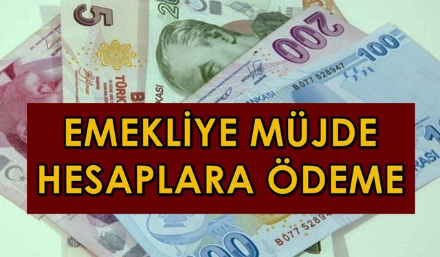 Emekli köşeyi döndü! O bankalar promosyon yarışına geri döndü! İşte yeni emekli maaşı banka promosyonu rakamı...