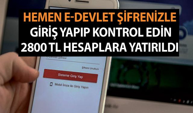 Vakit nakittir! Hemen e-devlet şifreniz ile giriş yapıp kontrol edin 2800 TL hesaplara yatırıldı